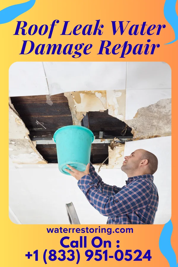 Roof Leak Water Damage Repair in Kewaunee, WI