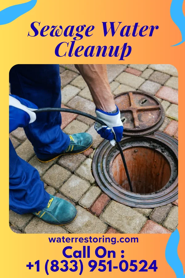 Sewage Water Cleanup in Kewaunee, WI